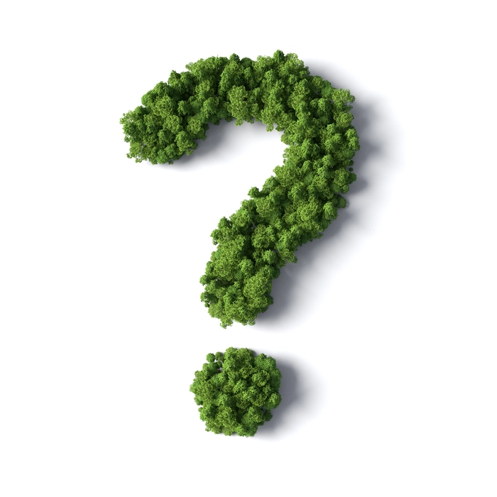 Question mark made of trees